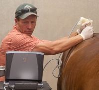 Biorn Corporation Equine Debt Collection Services